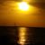 Sharon Meissner's profile image