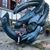 Kathryn Felice Peterson's profile image
