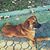 Heather VanSciver's profile image