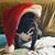 Susan Vann Mills's profile image