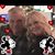 Patti Parr Seals's profile image