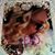 Kathy Jodway Moritz's profile image