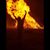 Melissa Steich's profile image