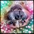 Amanda Lane Bosnyak's profile image