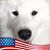 Lisa M Love-Hoffert's profile image