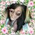 Kathrine Kay McGhghy's profile image