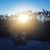 Emily Pegues's profile image