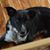 Leslie Ann's profile image