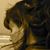 Suzanne Hermanson's profile image