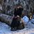 Cheryl Frew Heeneman's profile image