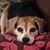 Polly Toner's profile image