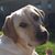 Connie Wirkkala Fauver's profile image