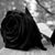 Brenda Martinez's profile image