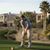 Peter Brokish's profile image