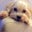 Liz Cargill's profile image