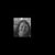 Deborah Malin Cattivera's profile image