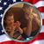 Robin Jones's profile image