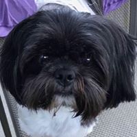 Valerie Mccoy Messer's profile image