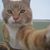 Michael Gutterres's profile image