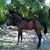 Alfonso L Loera's profile image