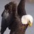 DeeDee Warren Mott's profile image