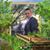 Jacob J. Bar's profile image
