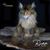 Gerald Roberts's profile image