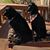 Joyceann Merriman-Johnson's profile image