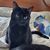 Debby Blankenship's profile image