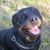 Cheryl Johnson's profile image