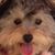 Joyce Blackwell's profile image