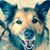 Linda Manning's profile image