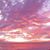 Sherry Koroknay Isom's profile image