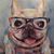 Valerie Darabaner's profile image