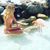 Caitie Shields's profile image