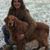 Sandy Mulch's profile image