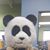 Jody Stauff's profile image