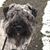 Diane Martin's profile image