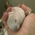 Vanessa Horman's profile image