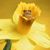 Abigail Leigh Starns's profile image