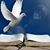 Jose Luis Sanchez Sanchez's profile image