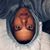 Jose Gonzalez's profile image