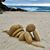 Carla Brett Lehman's profile image