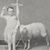 Janet LaFountain Dunn's profile image