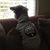 Jacqui Gazi's profile image