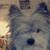 Angelia Franklin's profile image