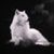 Stephanie Yancey's profile image