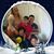 Luis Paez's profile image