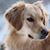Rich Jewett's profile image