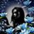 Alice LeMerle's profile image